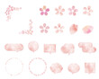 桜素材セット　白背景　手書き　水彩　