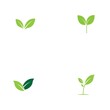 © Achmad99 - Logos of green Tree leaf ecology nature element vector