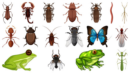 Poster - Different insects collection isolated on white background