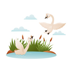 Wall Mural - Beautiful white swans. Wild swan birds cartoon vector illustration