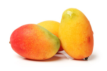 Canvas Print - Mango on a white background