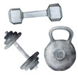 Watercolor set of illustrations of iron dumbbells and kettlebells on a white background. Hand clipart
