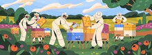 Beekeepers At Apiary, Work With Hives And Honey Bees. Apiarists At Farm With Beehives And Flower Garden Panorama. Apiculture Workers In Suits In Summer. People And Beekeeping. Flat Vector Illustration