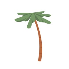 Poster - Palm tree with leaf and trunk. Exotic tropical summer plant with green leaves. Botanical flat cartoon vector illustration isolated on white background