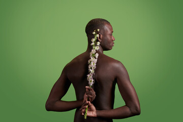 Wall Mural - Back of young muscular man of African ethnicity holding white flowers while standing against green background