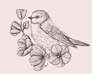 Wall Mural - Art graphic sketch illustration of a bird sitting on a branch with spring flowers