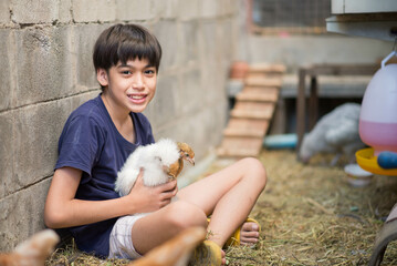 Wall Mural - Little Asian boy playing and taking care chicken house backyard farm with love