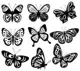 Fototapeta Motyle - butterflies set silhouette ,on white background, vector