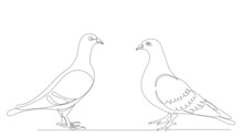 Pigeons One Line Drawing ,vector, Isolated
