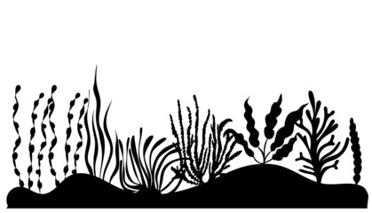 Wall Mural - seaweed silhouette ,on white background, vector