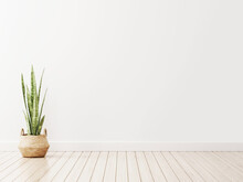 Blank Interior Wall Mockup With Snake Plant In Wicker Basket Standing On Wooden Floor In Empty Living Room. Illustration, 3d Rendering