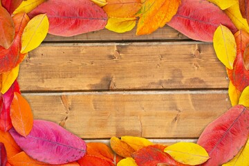 Wall Mural - Colorful fall leaves on wooden boards. Festive autumn background,