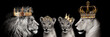 Royal lions, Primal kingdom , Lion with crowns, Royal Family, Royal Family Lions