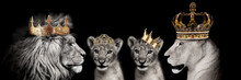 Royal Lions, Primal Kingdom , Lion With Crowns, Royal Family, Royal Family Lions
