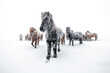 © PhotographingIceland - Horses in a snowstorm in Iceland