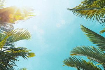 Wall Mural - copy space of tropical palm tree with sun light on sky background.