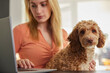 © Daisy Daisy - Woman With Pet Cockapoo Dog Researching Insurance On Laptop At Home