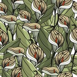 Fototapeta Kwiaty - Seamless pattern of lilies. Botanical, vector, linear illustration. Natural nature. Inflorescences. Spring and autumn. Herbarium. Hand-drawn flowers. Fantastic botany. Phantasmagoria. Lily.