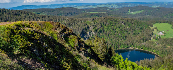 Wall Mural - Panorama über den Feldsee im Schwarzwald