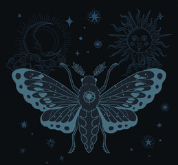 black and blue illustration of moth in black and gold colours with moon and sun