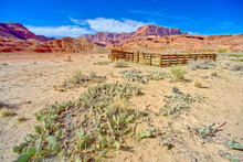 Lonely Dell Ranch Corral At Vermilion Cliffs National Monument Near The Glen Canyon Recreation Area, Arizona
