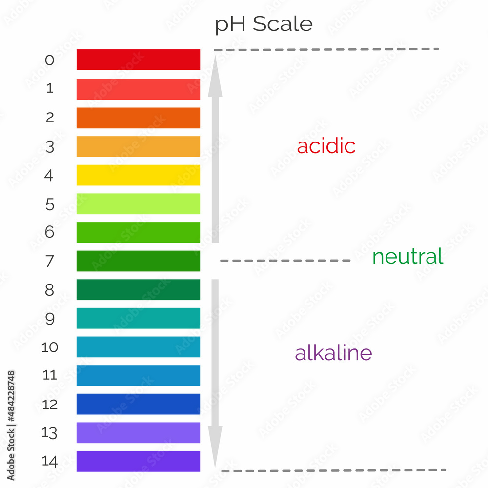 Vertical pH scale for measuring acid alkaline balance. Chemical value ...