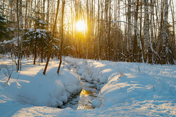 Wall Mural - A frozen forest stream in the rays of the sun, the sun's glare on the snow and trees.