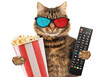 Funny cat in the 3d glasses with popcorn basket. It is holding a remote control to TV. Cinema concept. 