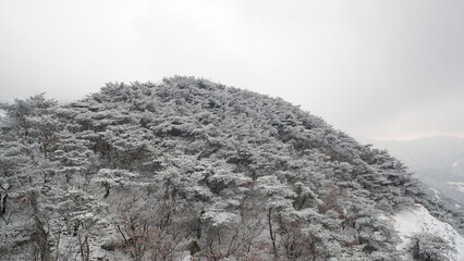 Wall Mural - The beauty of the snowy mountain.