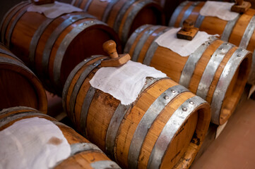 Wall Mural - Traditional production and aging in wooden barrels of Italian Balsamic grapes vinegar dressing in Modena, Italy