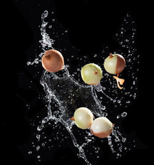 Canvas Print - Levitation flying onion with water splash, isolated on black background