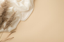 Top View Photo Of White Light Scarf And Reed Flowers On Isolated Beige Background With Copyspace