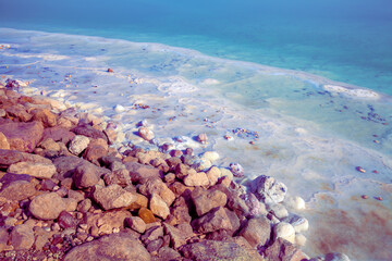 Fototapete - Salty shore of the Dead Sea. Salt covered stones