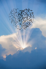Poster - Silhouette of heart shape birds flying above the blue clouds, sun rays in the background