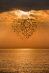 Poster - Silhouette of heart shape birds flying above the blue clouds, sun rays in the background