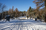 Fototapeta  - Beskid Niski, przełęcz Małastowska