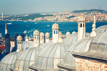 Wall Mural - Suleymaniye mosque in Istanbul, Turkey