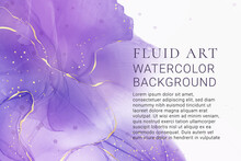 Violet Lavender Liquid Watercolor Marble Background With Golden Lines. Pastel Purple Periwinkle Alcohol Ink Drawing Effect. Vector Illustration Design Template For Wedding Invitation, Menu, Rsvp