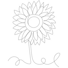 sunflower one line drawing, outline, vector