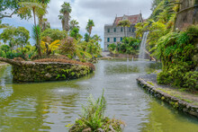 Botanical Garden At Funchal, Madeira