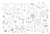Fototapeta Pokój dzieciecy - Vector set of sea animals and plants. Black and white outline underwater fishes, seaweeds, corals, arctic animals. Coloring page or book for children.