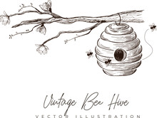 Vintage Hand-drawn Bee Hive