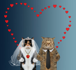 Wall Mural - Two cats in love get married under a red heart. Blue background.