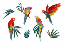 Vector Illustrations Of Parrots And Tropical Leaves. Clipart, Isolated Elements.