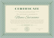 Green certificate. Blank with pigtail geometric ornamental frame. Business modern design. Vector illustration