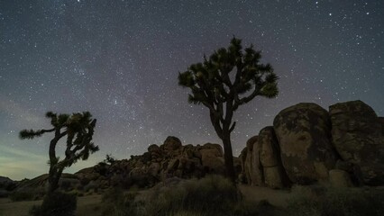 Wall Mural - Time Lapse Starry Night Sky Stars Milky Way Polaris over Joshua Trees, Rocks, Desert Landscape