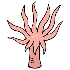 Wall Mural - Actinia. Sea anemone. Sea animal in the form of a flower. Aquatic invertebrate animal. Vector illustration. Coral polyp. Cartoon style. Outline on isolated background. Ocean dweller. 
