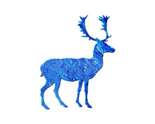 Reindeer Deer Blue Waves Icon Logo Symbol Illustration