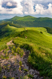 Fototapeta Tęcza - Niesamowity letni górski krajobraz zielonych wzgórz. Szlak Połoniną Wetlińską z widokiem na Bukowe Berdo, Bieszczady, Polska