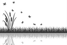 The Black Silhouette Of Marsh Grass With Flying Insects, Dragonflies Is Reflected In The Water.